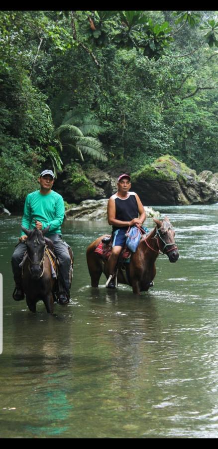 Rainforest Lodge Del Rio Портобело Экстерьер фото